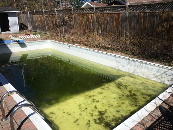 Réfection de piscine Gatineau